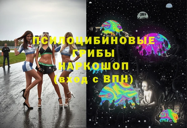 спайс Алзамай